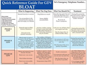 GDV_Bloat_Quick Reference Guide