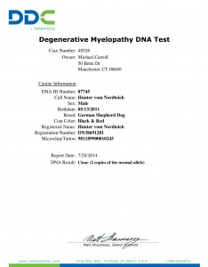 Hunter-vom-Nordteich_DM_Results