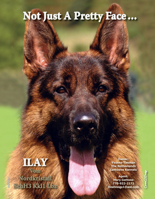 july-aug-08-bc-ilay-cover-sm1